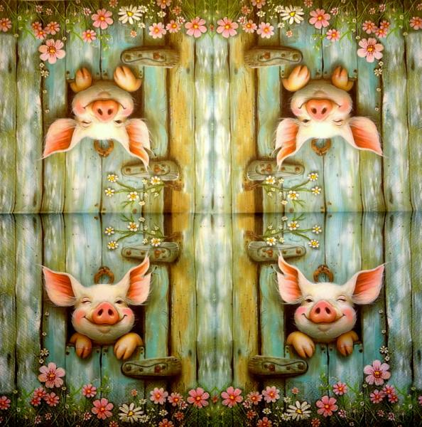 080 Schweine - 3-lagig - Nouveau